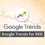 How to Harness the Power of Google Trends for SEO Success